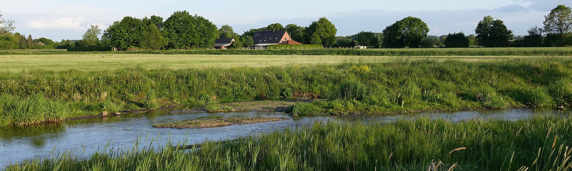 Berkelabschnitt 2024 ©Mercedes Lanio