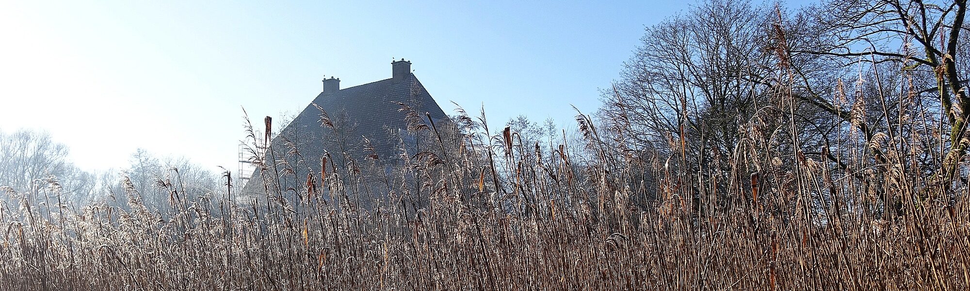 Kolvenburg im Nebel ©Rita Umbreit